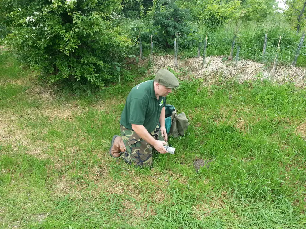 Mark kneeling in a grass field setting a trap